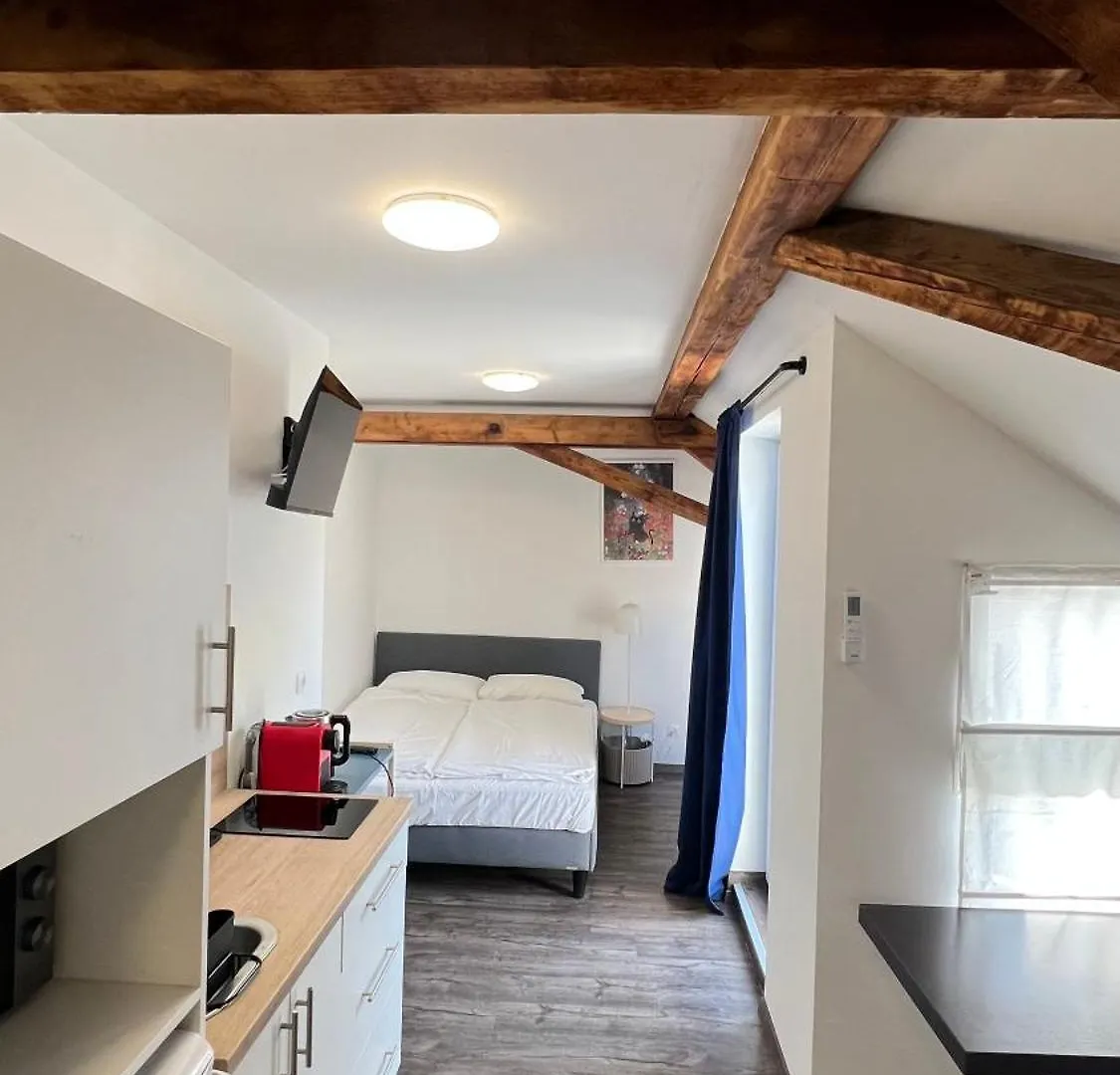 Apartment Zhang Graz